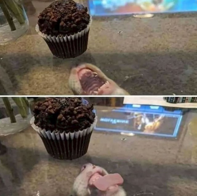 13.