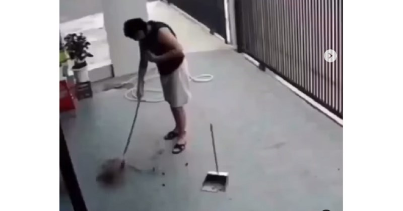 Čistio je dvorište kada se zbilo nešto čudno, komični preokret nasmijao je milijune diljem svijeta