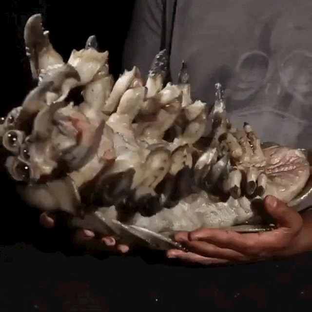 13.