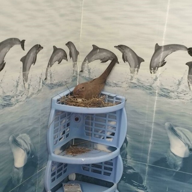9.
