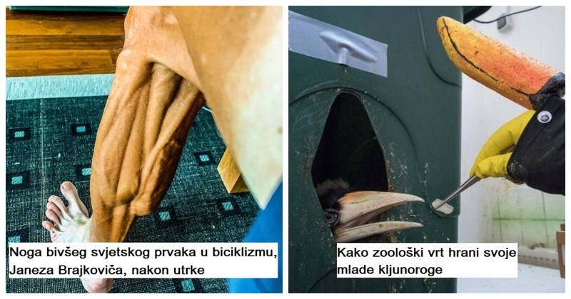 15 rijetko viđenih slika koje bi mogle promijeniti način na koji vidite svijet