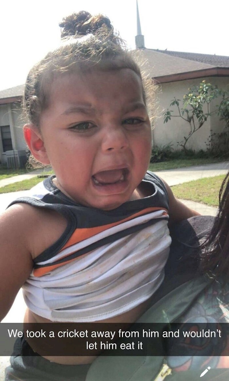 Nismo mu dali da pojede cvrčka