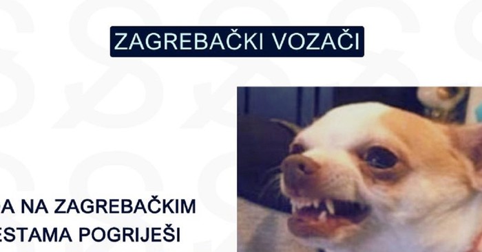 Mrežama kruži fora o zagrebačkim vozačima. Jedne je naljutila, drugi kažu da je totalno pogođena