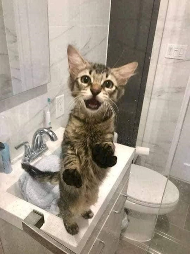 11.