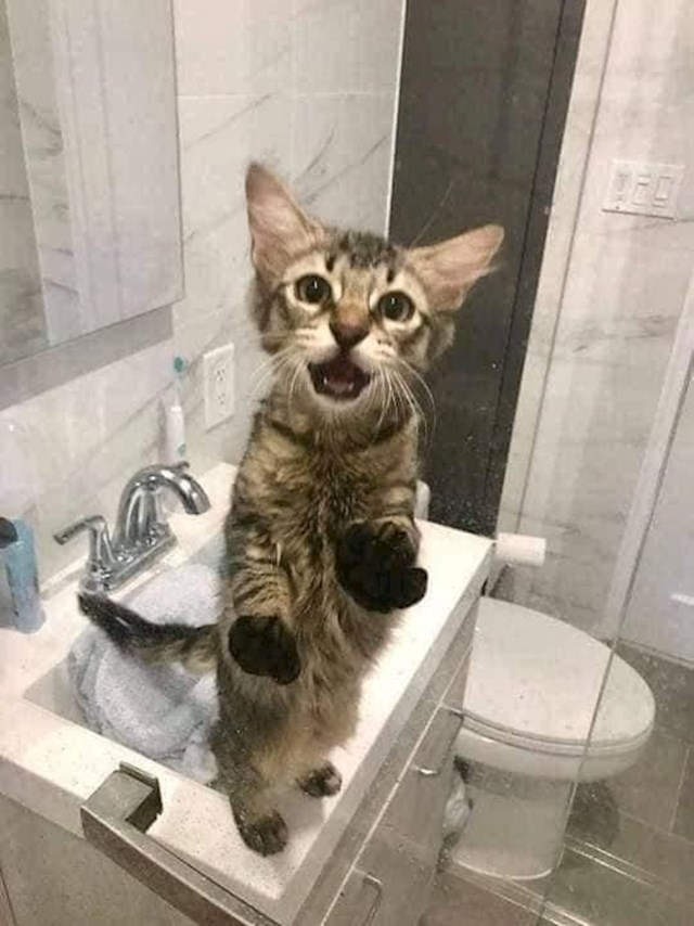 11.
