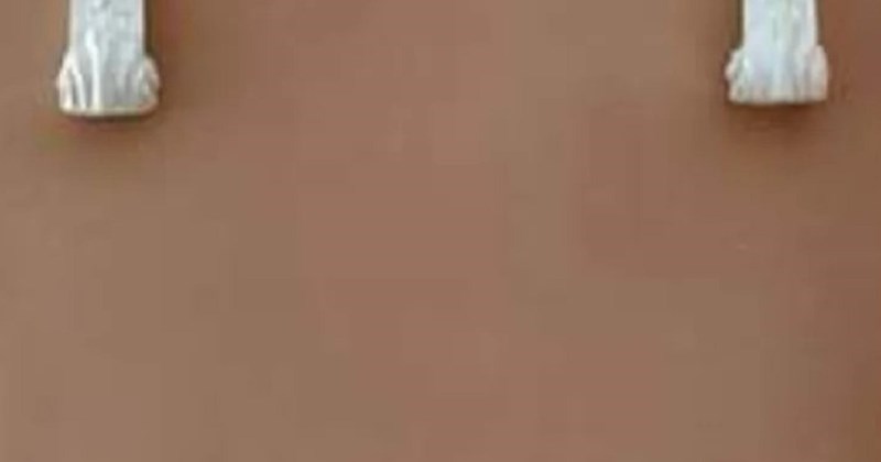 Neobičan ukras iz nečijeg dnevnog boravka obišao je regiju, ovakav kič se definitivno ne viđa često