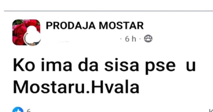 Preko Fejsa je tražila salon za pse u Mostaru, objava je postala hit zbog urnebesnog komentara