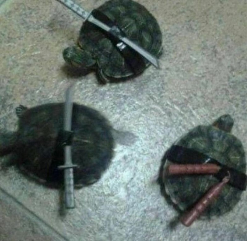 Opasne neke pripreme