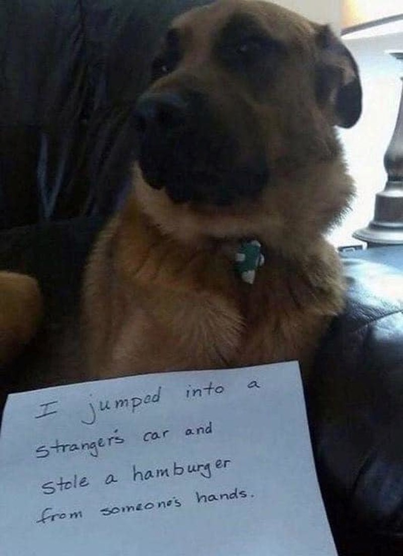 "Skočio sam strancu u auto i ukrao hamburger iz nečijih ruku"