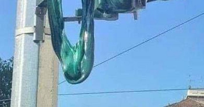 Počele su nesnosne vrućine, a ova fotka iz Bugarske šokirala je društvene mreže. Morate vidjeti
