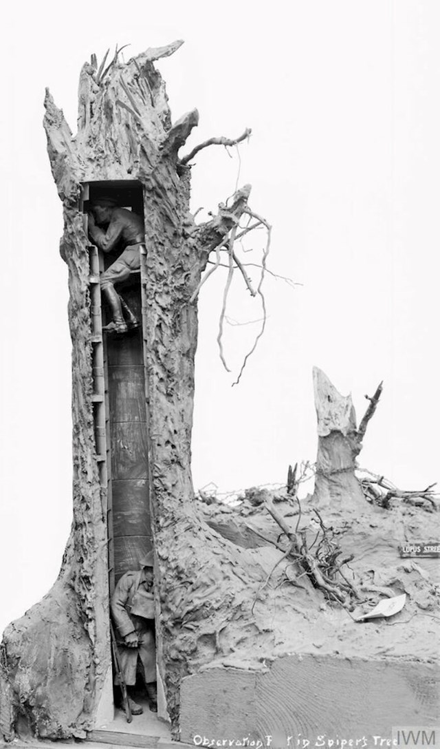 Izvidnica u stablu tijekom Prvog svjetskog rata