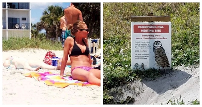 15 savršeno kamufliranih stvari za koje ćete se poprilično namučiti dok ih pronađete