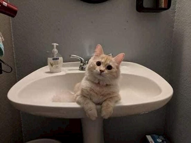 3.
