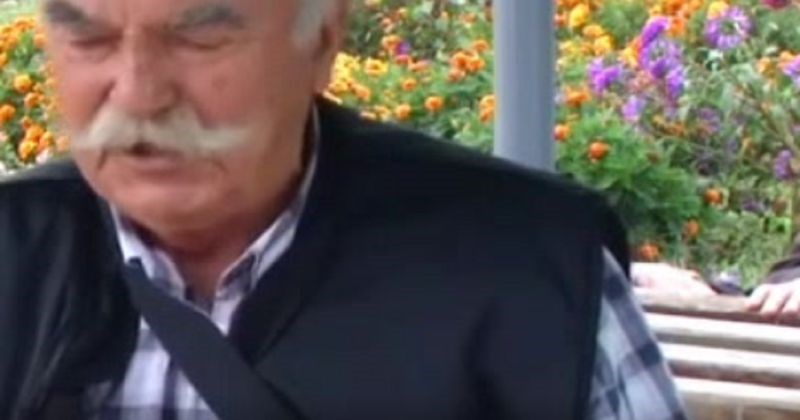 TV je snimala prilog o pčelarima, svi umiru od smijeha zbog onog što se događa u pozadini