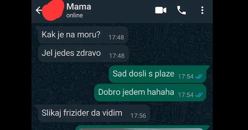 Dijete je išlo na more s ekipom, a mama se brinula što jedu. Urnebesno dopisivanje hit je na Fejsu!