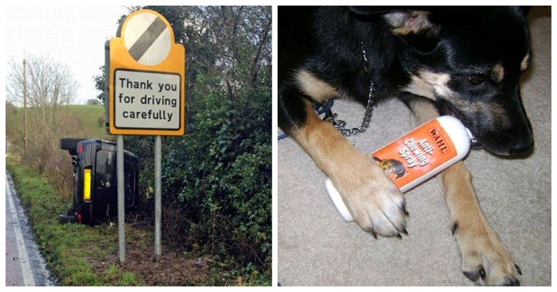 20 komičnih paradoksa koje su ovi ljudi vidjeli i morali su ih svima pokazati