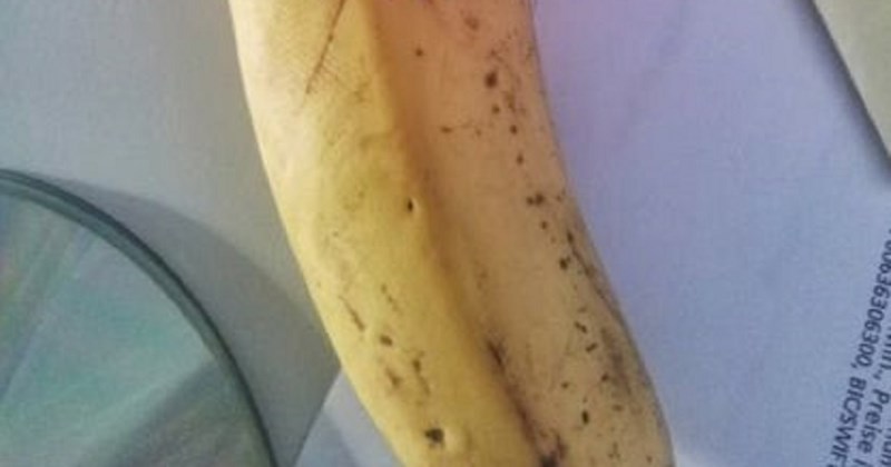 Firma za distribuciju banana postala je viralni hit zbog domišljatog imena, ideja je genijalna!