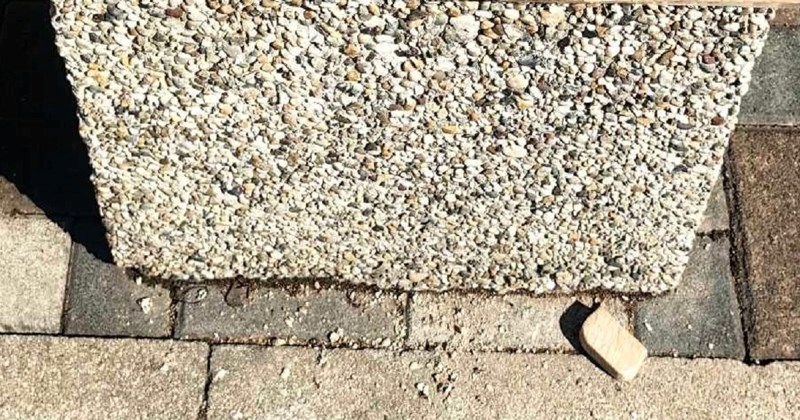 Tip iz Skradina obradovao je mještane neobičnog gestom, fotka je hit na Fejsu