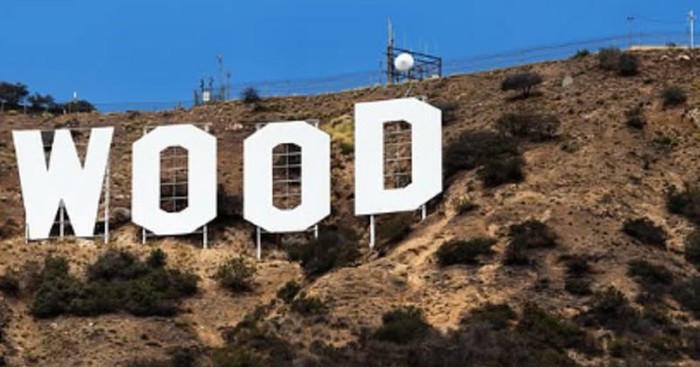 Nova verzija slavnog znaka Hollywooda oduševila je mreže, naročito Bosance! Hit je!