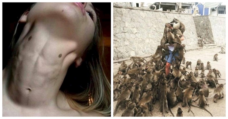 14 bizarnih fotki koje dokazuju da živimo je jednom jako, jako čudnom planetu