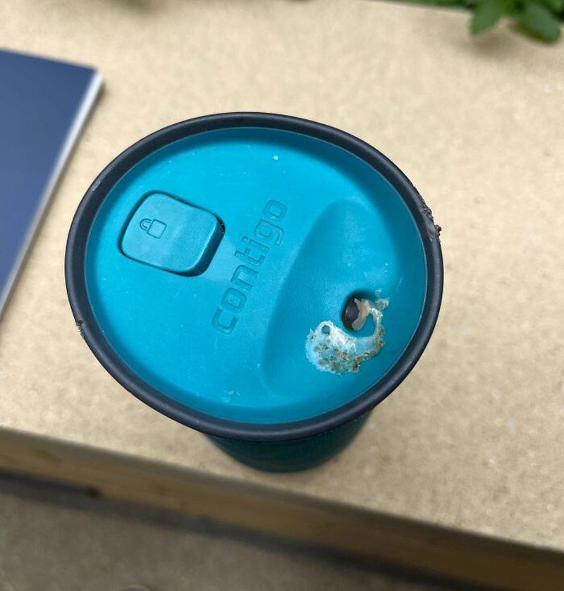 Ptičica me počastila poklonom točno na dijelu šalice koji ide na usta!