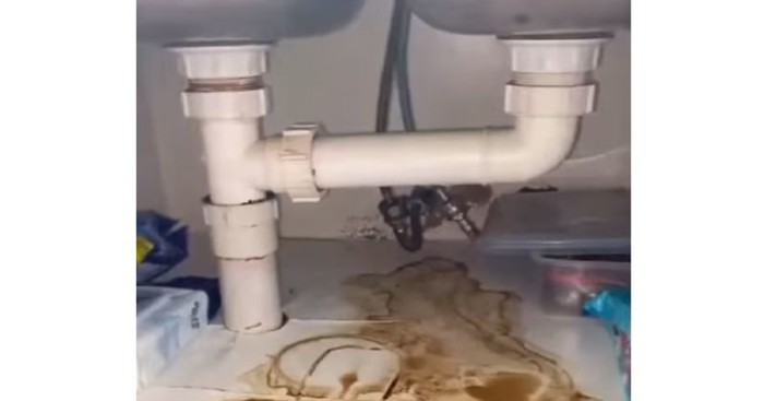 Tipu se zaštopao sudoper, ostat ćete u šoku kada vidite uzrok. Video je obišao regiju...