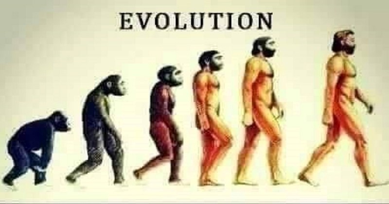 Netko je napravio balkansku verziju evolucije, mnoge će naljutiti