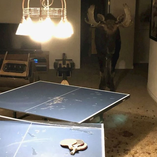 16.
