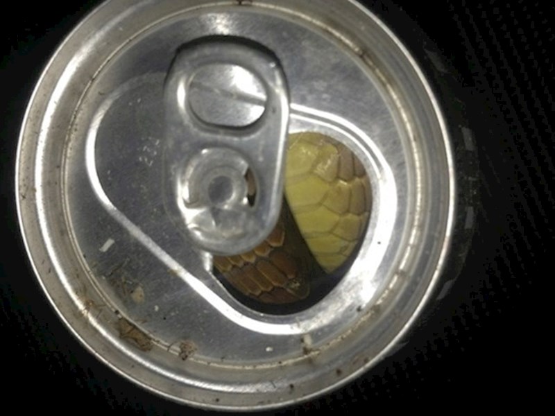 Čistio je nakon tuluma, mislio je da je netko ostavio puno pivo