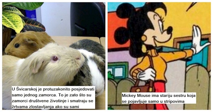 10 zanimljivih činjenica kojima ćete oduševiti ekipu na idućoj kavi