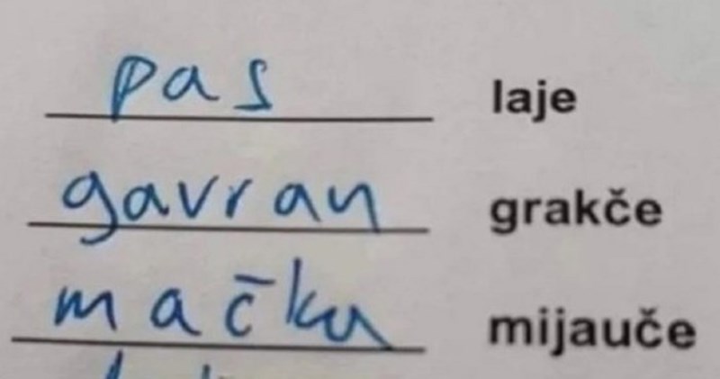 Djeca su učila o glasanju životinja, jedan odgovor na zadatak u radnoj bilježnici nasmijao je tisuće