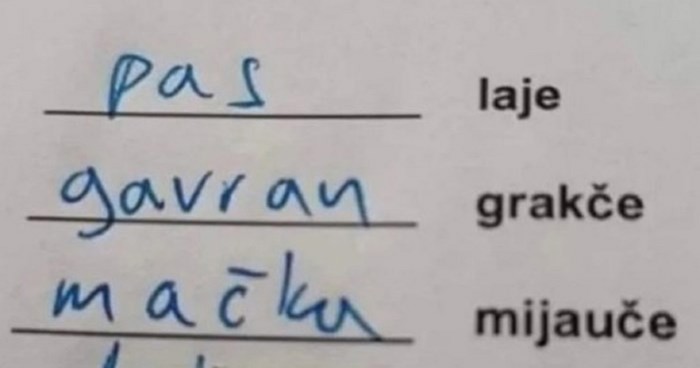 Djeca su učila o glasanju životinja, jedan odgovor na zadatak u radnoj bilježnici nasmijao je tisuće