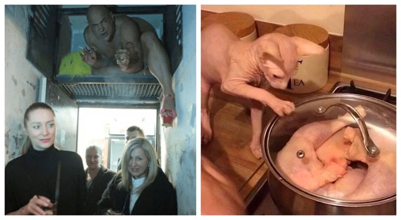 17 fotki koje će vam istovremeno izazvati smijeh i nelagodu, svaka je bizarnija od prethodne