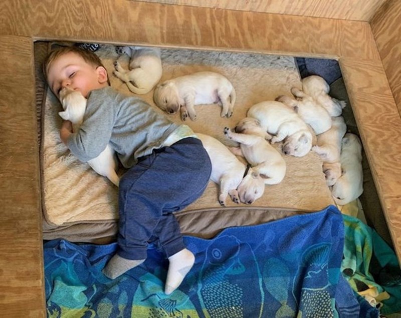 "Ovo je možda (gotovo sigurno) najslađa fotografija koju imam u mobitelu"