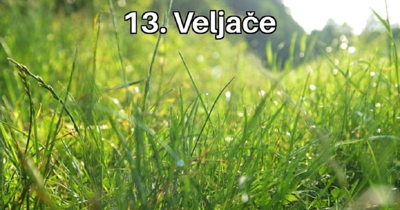 Foru o Valentinovu lajkaju tisuće na Fejsu i IG-u, shvaćate li u čemu je stvar?