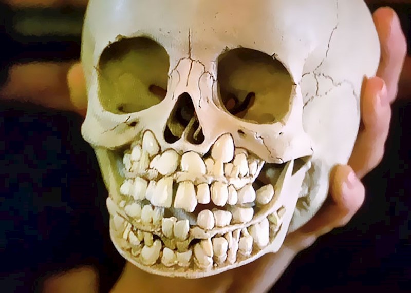 Čeljust svakog djeteta krije u sebi i mliječne i trajne zube, što zvuči normalno dok ne shvatite kako to izgleda