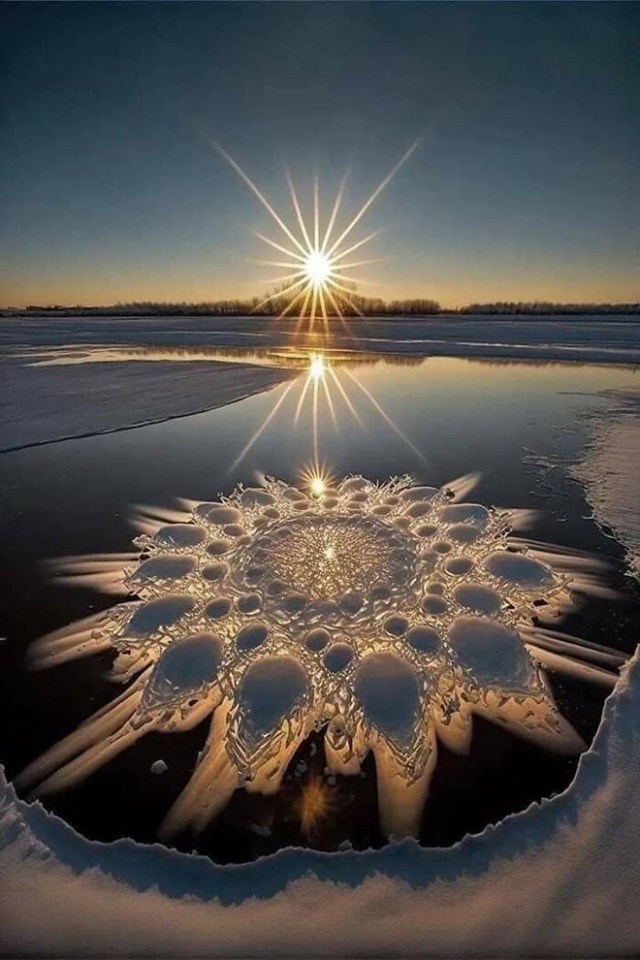 Formiranje 'ledenog cvijeća' prekrasan je prirodni fenomen u području Velikih jezera u Sjevernoj Americi