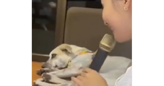 Reakcija psa na pjevanje vlasnice zaradila je 1.5 milijuna lajkova i postala viralna, morate vidjeti