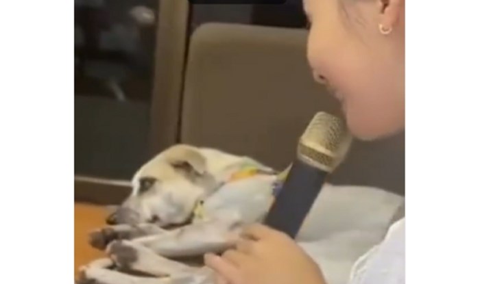 Reakcija psa na pjevanje vlasnice zaradila je 1.5 milijuna lajkova i postala viralna, morate vidjeti