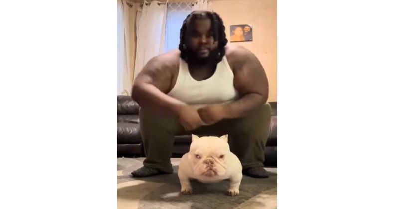 Ljudi se šale da su u krvnom srodstvu sa svojim psima zbog urnebesnih sličnosti, video je genijalan