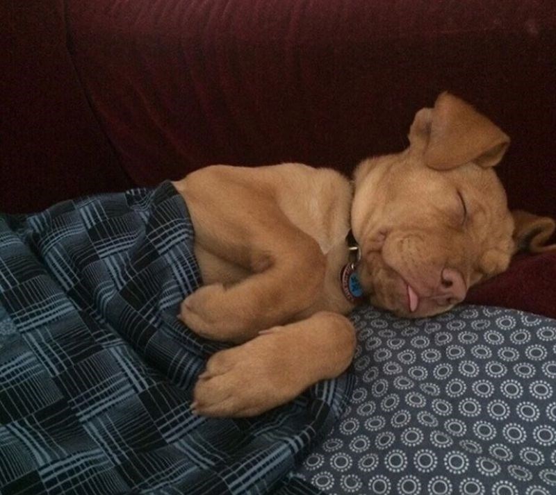 Beauty sleep se ne propušta!