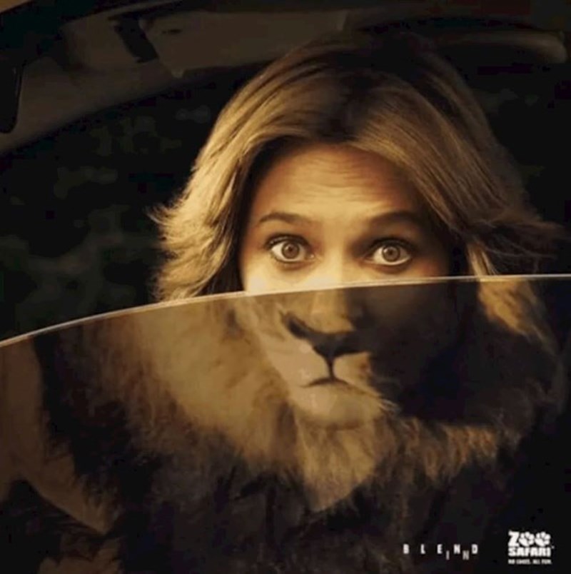 Ovako se gledaju životinje- u njihovom prirodnom staništu!