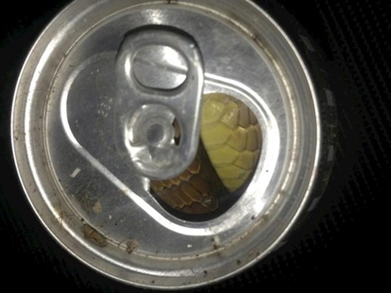 Čistio je nakon tuluma, mislio je da je netko ostavio puno pivo