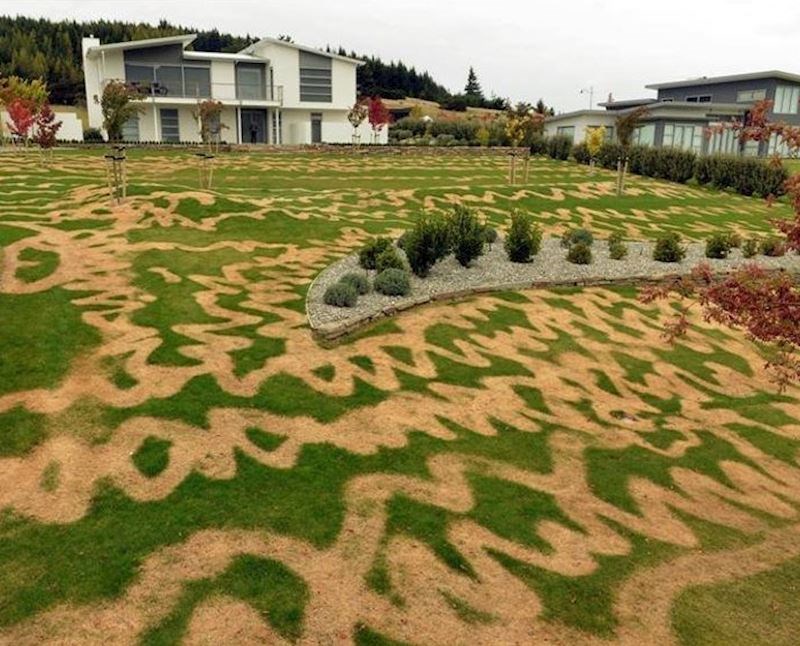 Kada prekasno shvatiš da si uzeo krivo sredstvo za travnjak