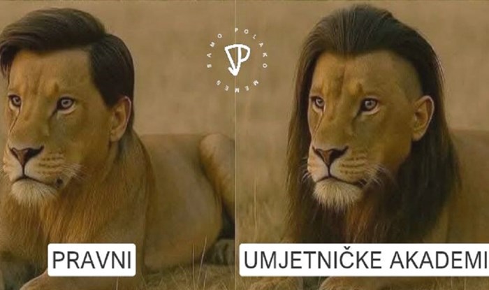 Netko je analizirao frizure studenata različitih fakulteta- ovo je urnebesno jer je totalna istina!