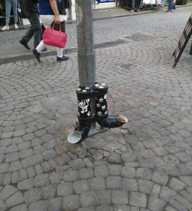 Stanica za hranjenje uličnih maca
