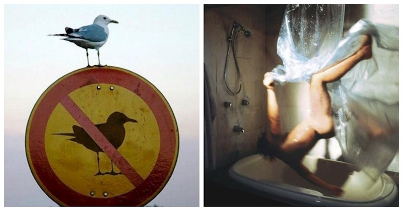 15 fotki koje su toliko cool i neobične da bi mogle poslužiti kao naslovnice albuma nekih fora grupa