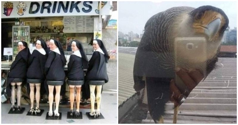 16 varljivih fotki koje će vas na prvu namučiti, a onda dobro nasmijati