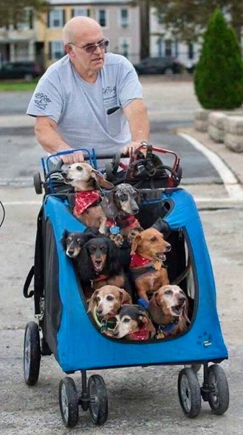 Ovaj čovjek je spasio i udomio pse koji su izgubili stražnje noge i svaki dan ih vozi do parka za pse, gdje im jednom po jednom pričvrsti proteze kako bi se mogli igrati