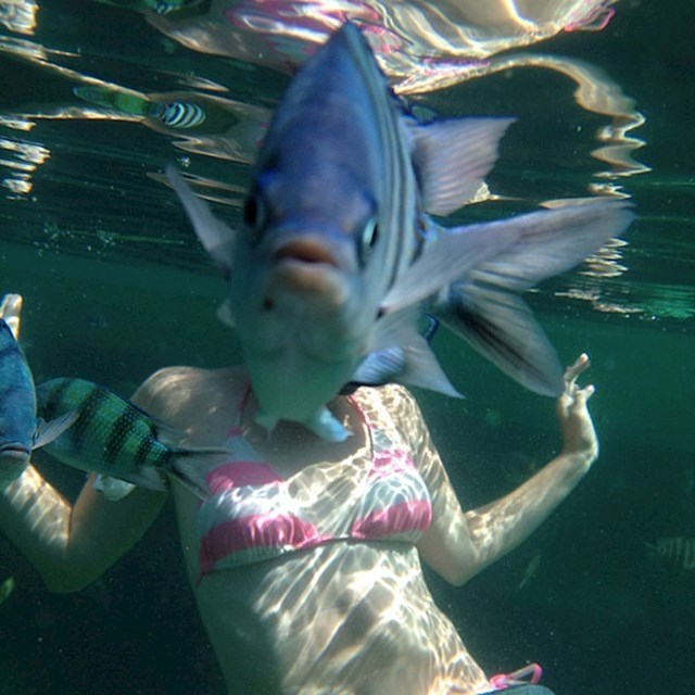Prijatelj je pokušao snimiti podvodnu fotografiju svoje žene tijekom njihovog medenog mjeseca